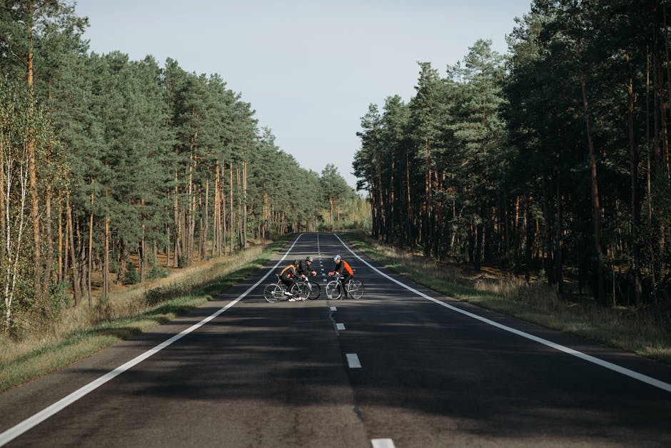 Τιμές Ασφαλτοστρωμένων Τετραγωνικών Μέτρων: Επενδύστε Σύμφωνα με τις Ανάγκες της Χρονιάς