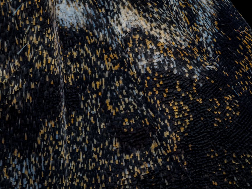 Προσθέστε στυλ στα πάρκινγκ σας με πολύχρωμο ασφάλτινο δάπεδο