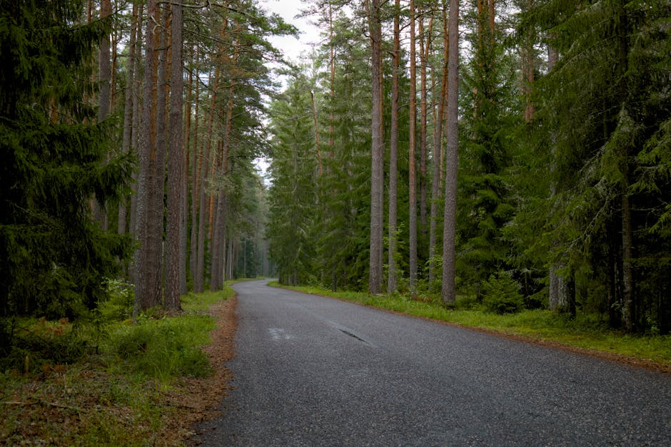 Δρόμοι Εντός Πόλης: Ποιοι Είναι Υπεύθυνοι και Ποιες Είναι οι Κόστη;